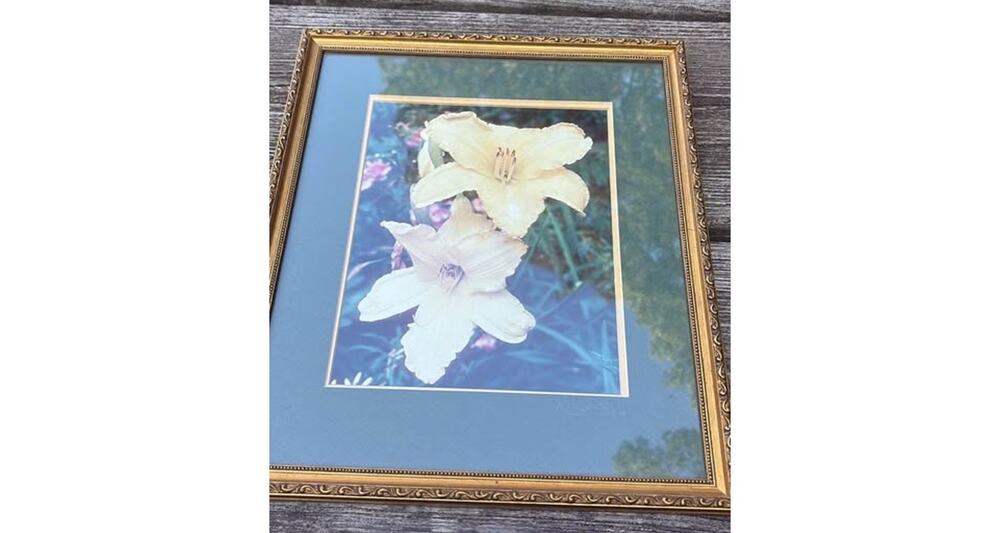 Mark V. Muto Framed Lily Photography